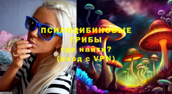 твердый Володарск
