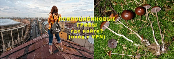 твердый Володарск